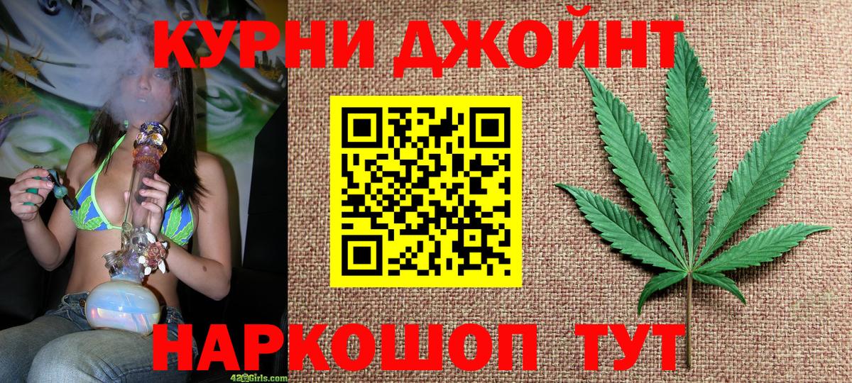 Тверь  Шишки марихуана Bruce Banner  Вход с VPN  Бошки марихуана Bruce Banner 